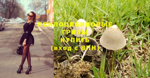 ешки Алзамай