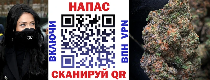 Шишки марихуана сатива  Иноземцево 